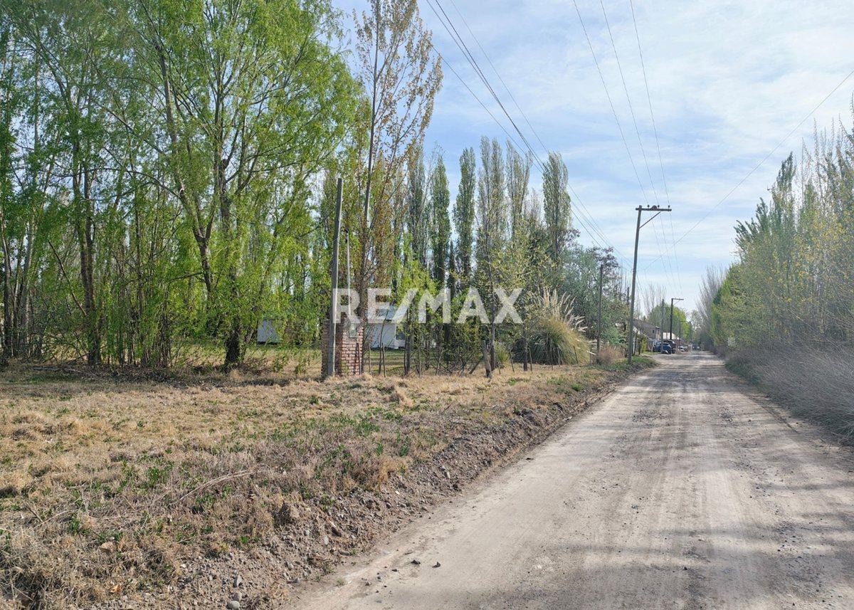 Foto de VENTA DE 1/2 HA A 300 MTS DE RUTA 151- CIPOLLETTI, imagen 5