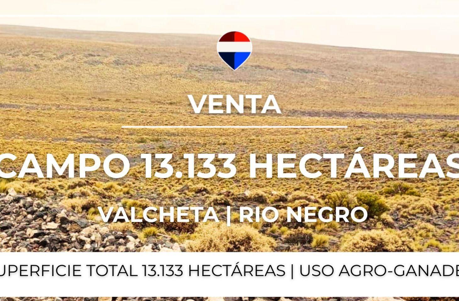 Foto de VENTA CAMPO - VALCHETA - RIO NEGRO, imagen 2