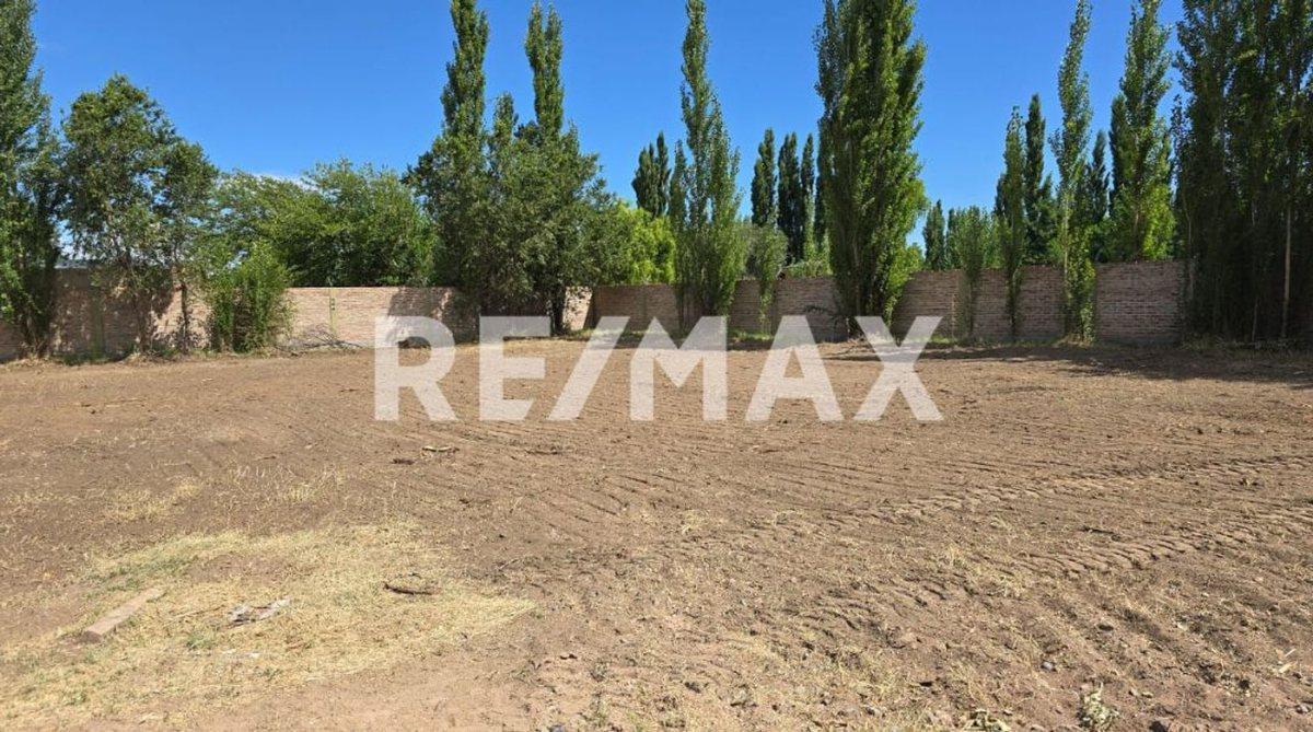 Foto de VENTA LOTE B° CERRADO SOFIA II, PLOTTIER., imagen 5