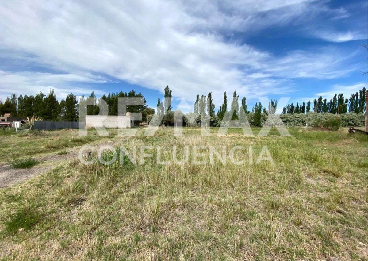 Foto de TERRENO EN VENTA FERNANDEZ ORO, imagen 5