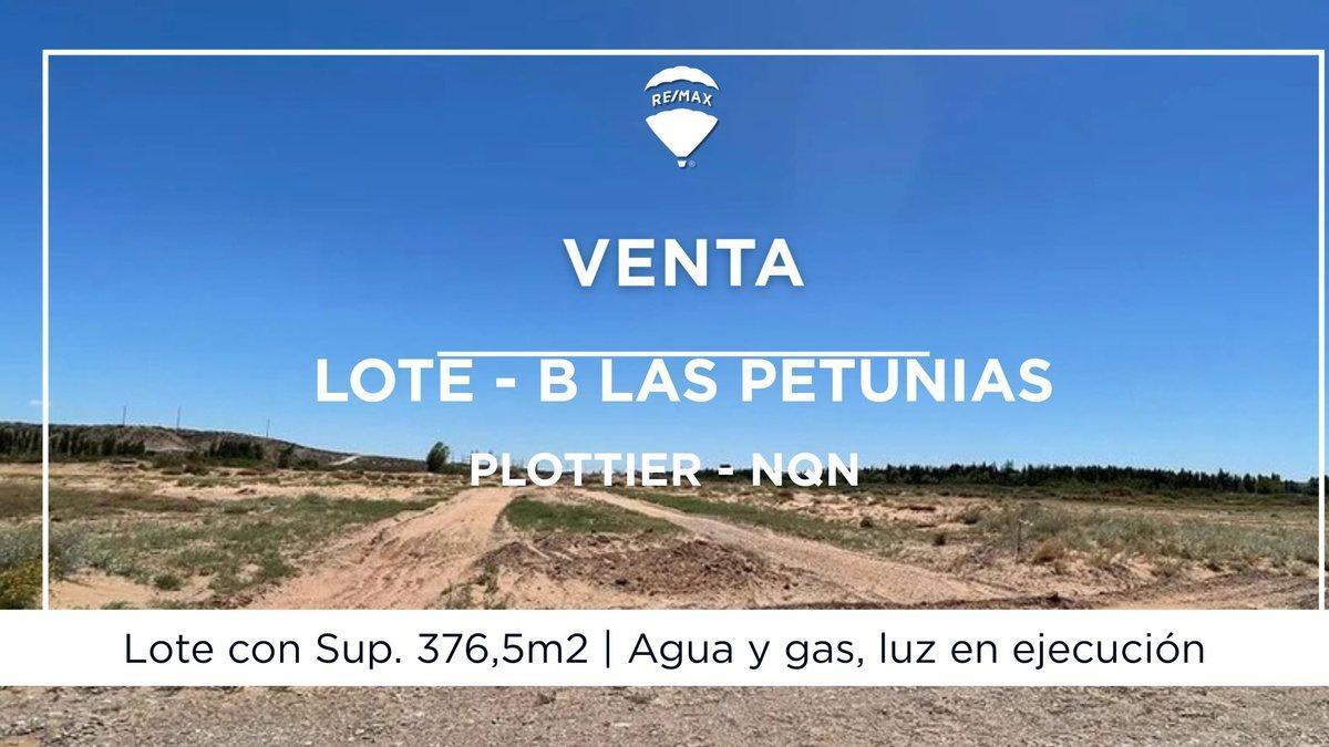 Foto de VENTA LOTE EN ESQUINA LAS PETUNIAS PLOTTIER, imagen 2