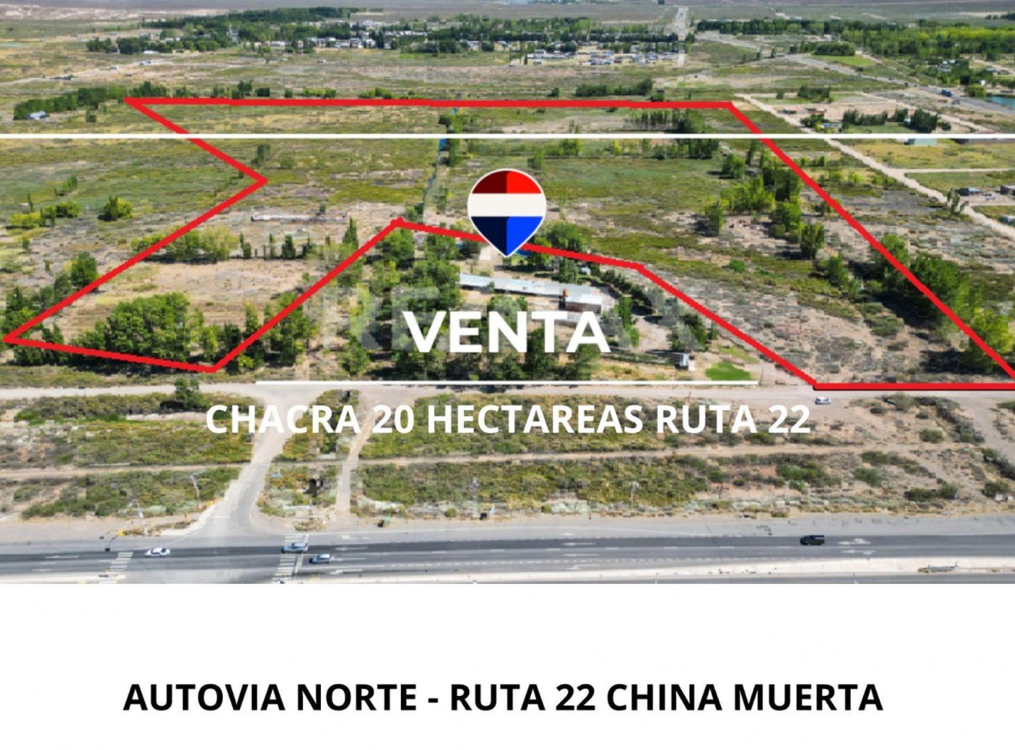 Foto de VENTA CHACRA 20 HECTAREAS CHINA MUERTA, PLOTTIER, imagen 4
