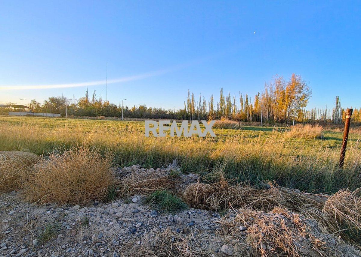 Foto de VENTA DE TERRENOS EN LOTEO "LA AGUSTINA" DE ALLEN, imagen 2