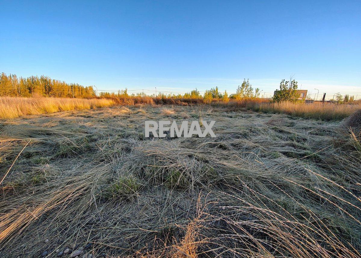 Foto de VENTA DE TERRENOS EN LOTEO "LA AGUSTINA" DE ALLEN, imagen 3