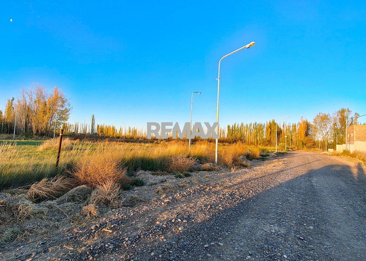 Foto de VENTA DE TERRENOS EN LOTEO "LA AGUSTINA" DE ALLEN, imagen 1