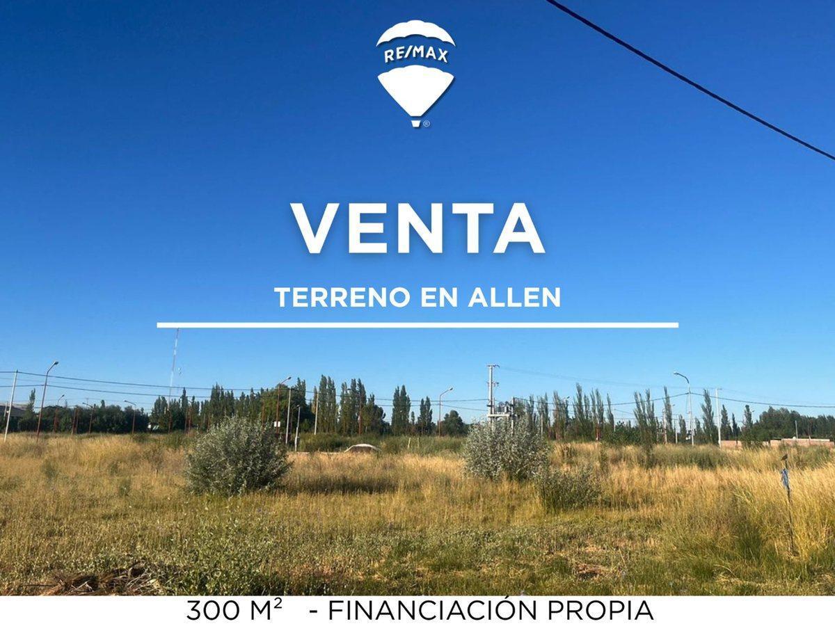 Foto de VENTA TERRENO EN ALLEN, imagen 2
