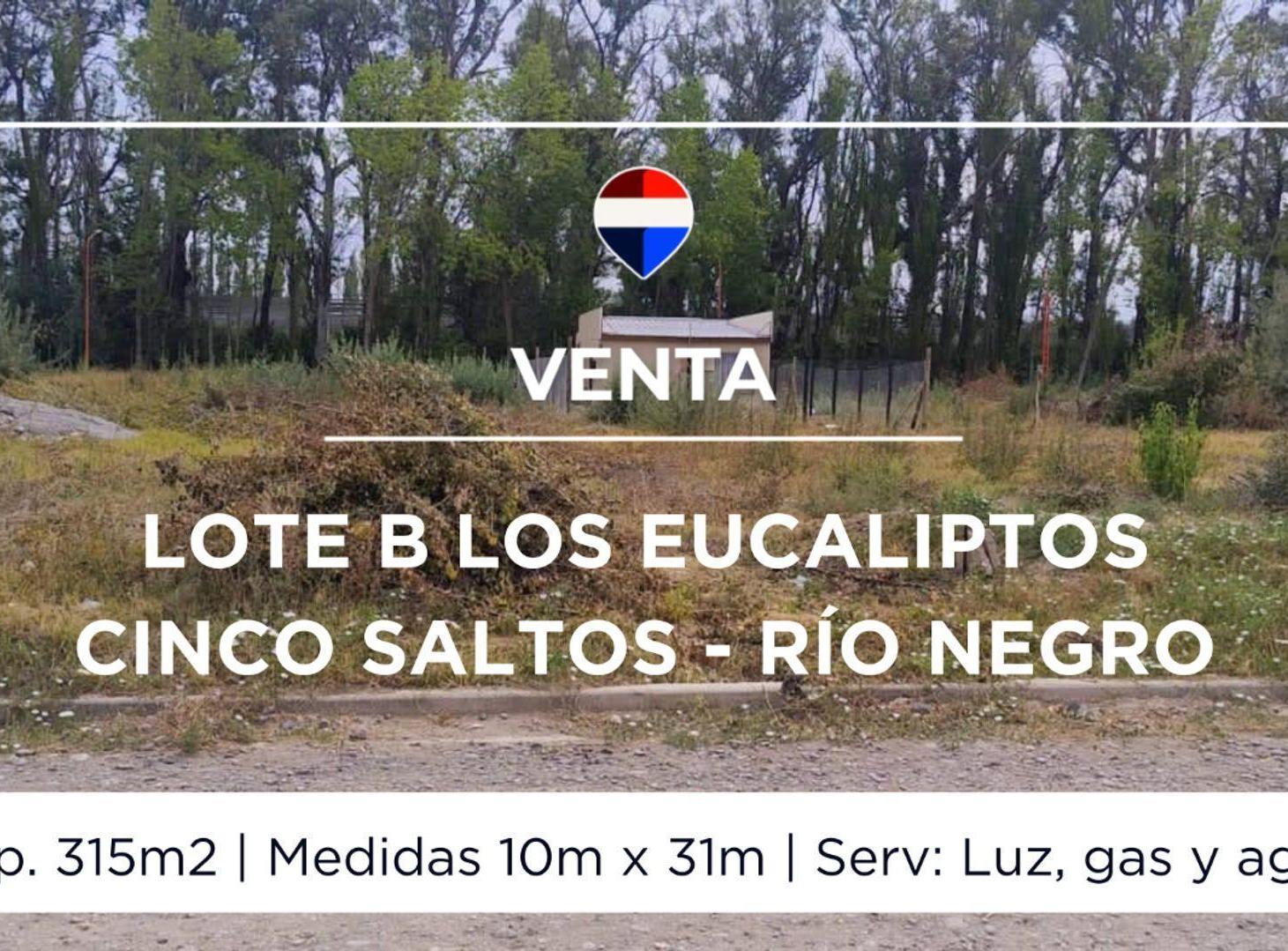 Foto de VENTA LOTE B LOS EUCALIPTOS CINCO SALTOS, imagen 1