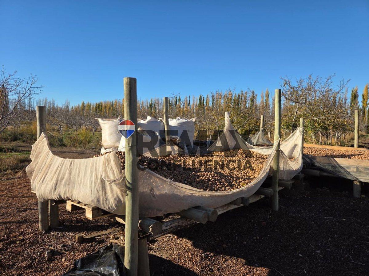 Foto de VENTA CHACRA SARGENTO VIDAL, imagen 1