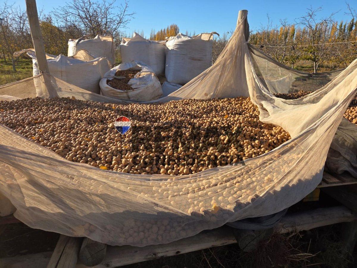 Foto de VENTA CHACRA SARGENTO VIDAL, imagen 4