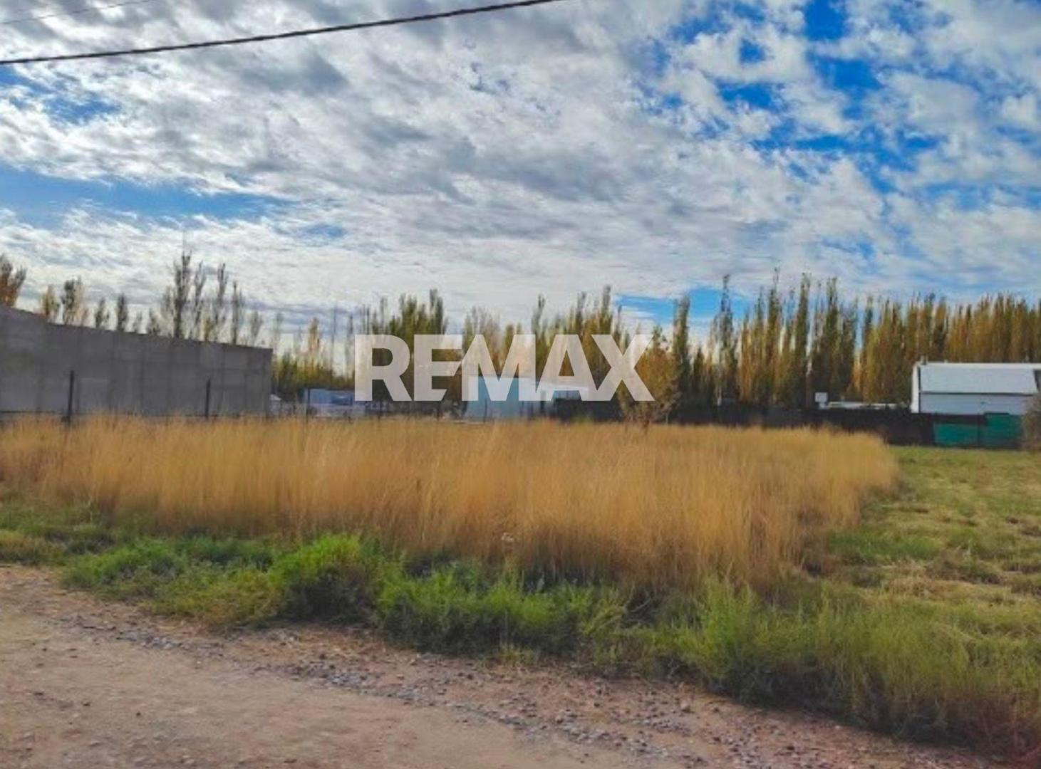 Foto de Venta Terreno 1.000 m2 - B° La Viña GFO, imagen 2