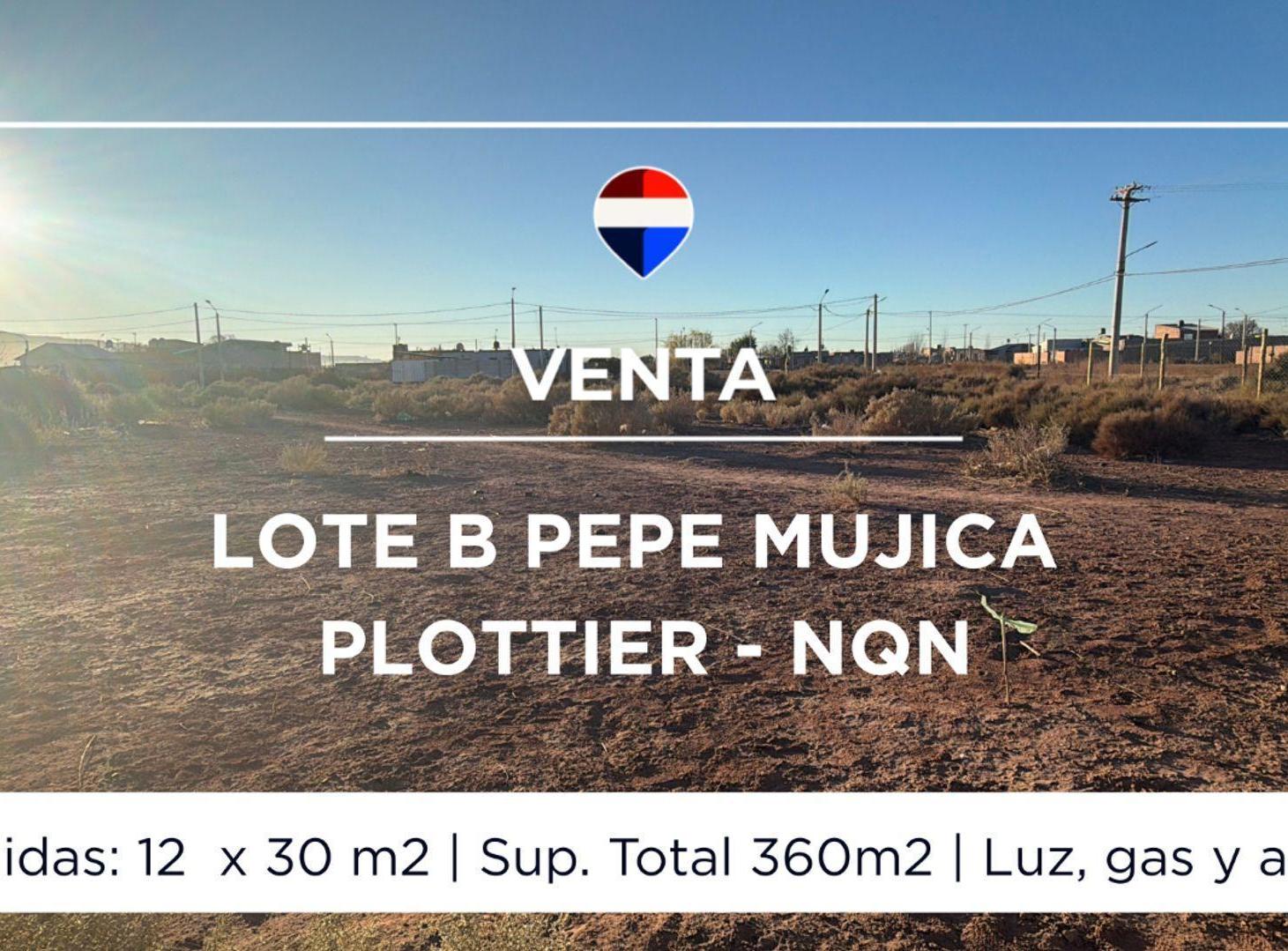 Foto de VENTA LOTE PLOTTIER, imagen 5
