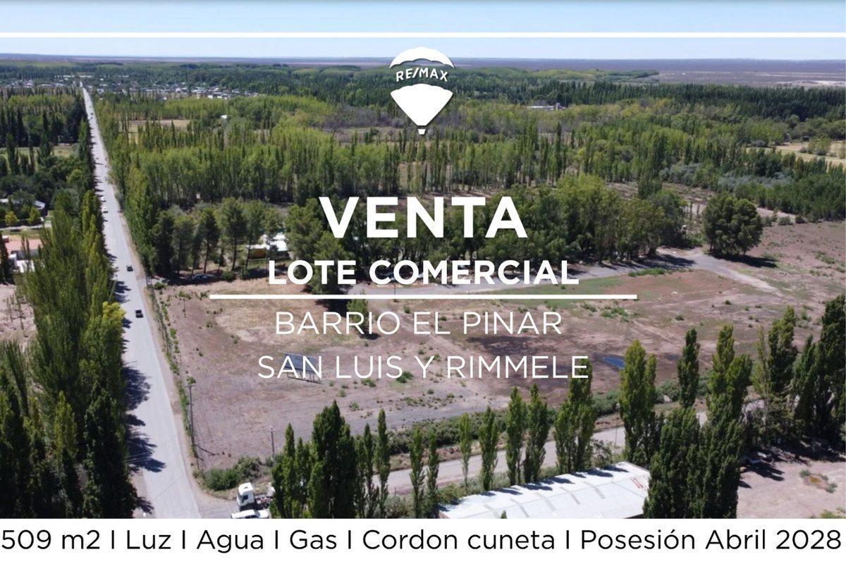 Foto de VENTA LOTE COMERCIAL EN POZO I LOTEO EL PINAR, imagen 4