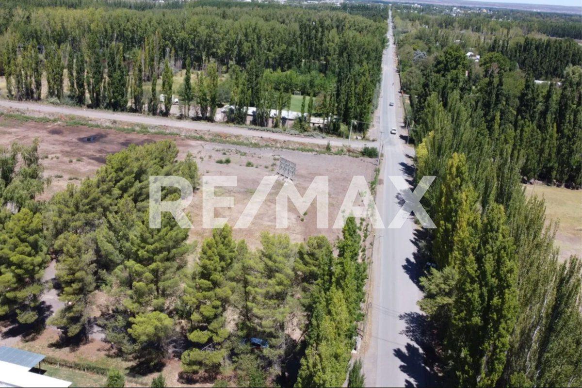 Foto de VENTA LOTE COMERCIAL EN POZO I LOTEO EL PINAR, imagen 1