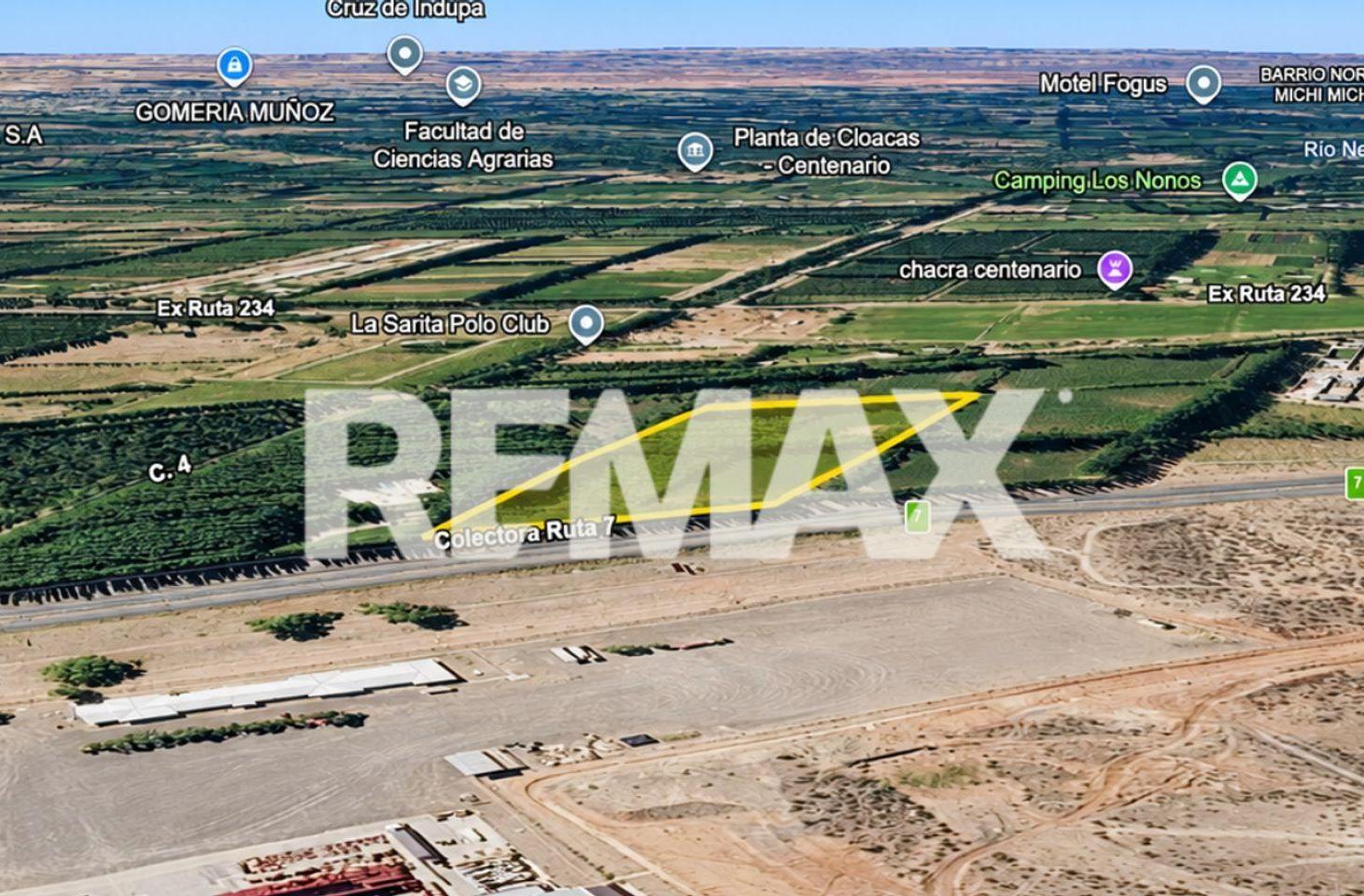 Foto de VENTA CHACRA 2 HAS. FRENTE DE RUTA 7 – CENTENARIO, imagen 4