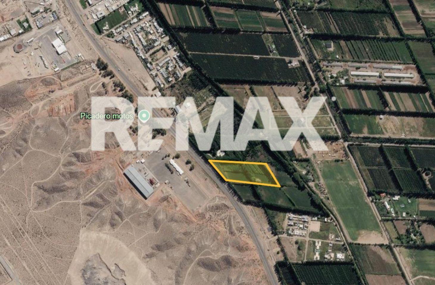 Foto de VENTA CHACRA 2 HAS. FRENTE DE RUTA 7 – CENTENARIO, imagen 2