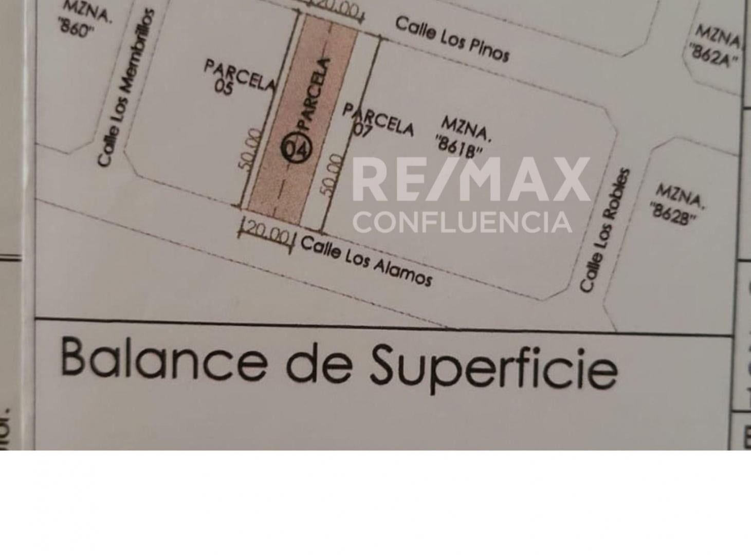 Foto de VENTA TERRENO FERNANDEZ ORO, imagen 4