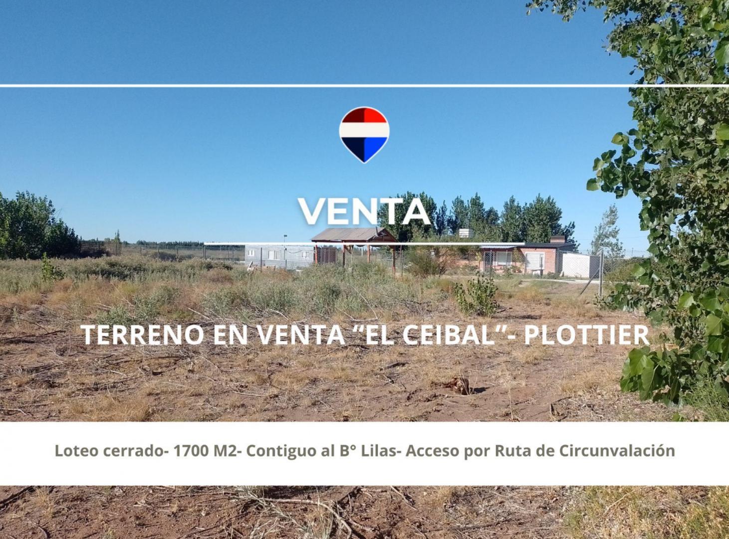Foto de TERRENO EN VENTA- 1700 M2- EL CEIBAL- PLOTTIER, imagen 1
