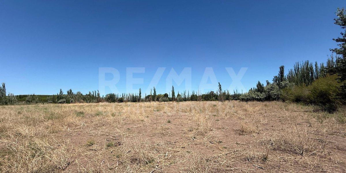 Foto de VENTA DE CHACRA EN FERRI CIPOLLETTI, imagen 2