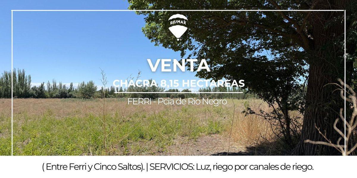 Foto de VENTA DE CHACRA EN FERRI CIPOLLETTI, imagen 5