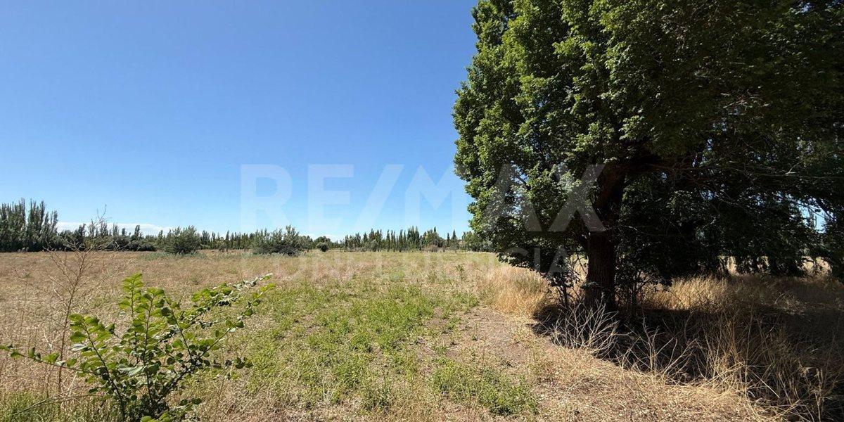 Foto de VENTA DE CHACRA EN FERRI CIPOLLETTI, imagen 1