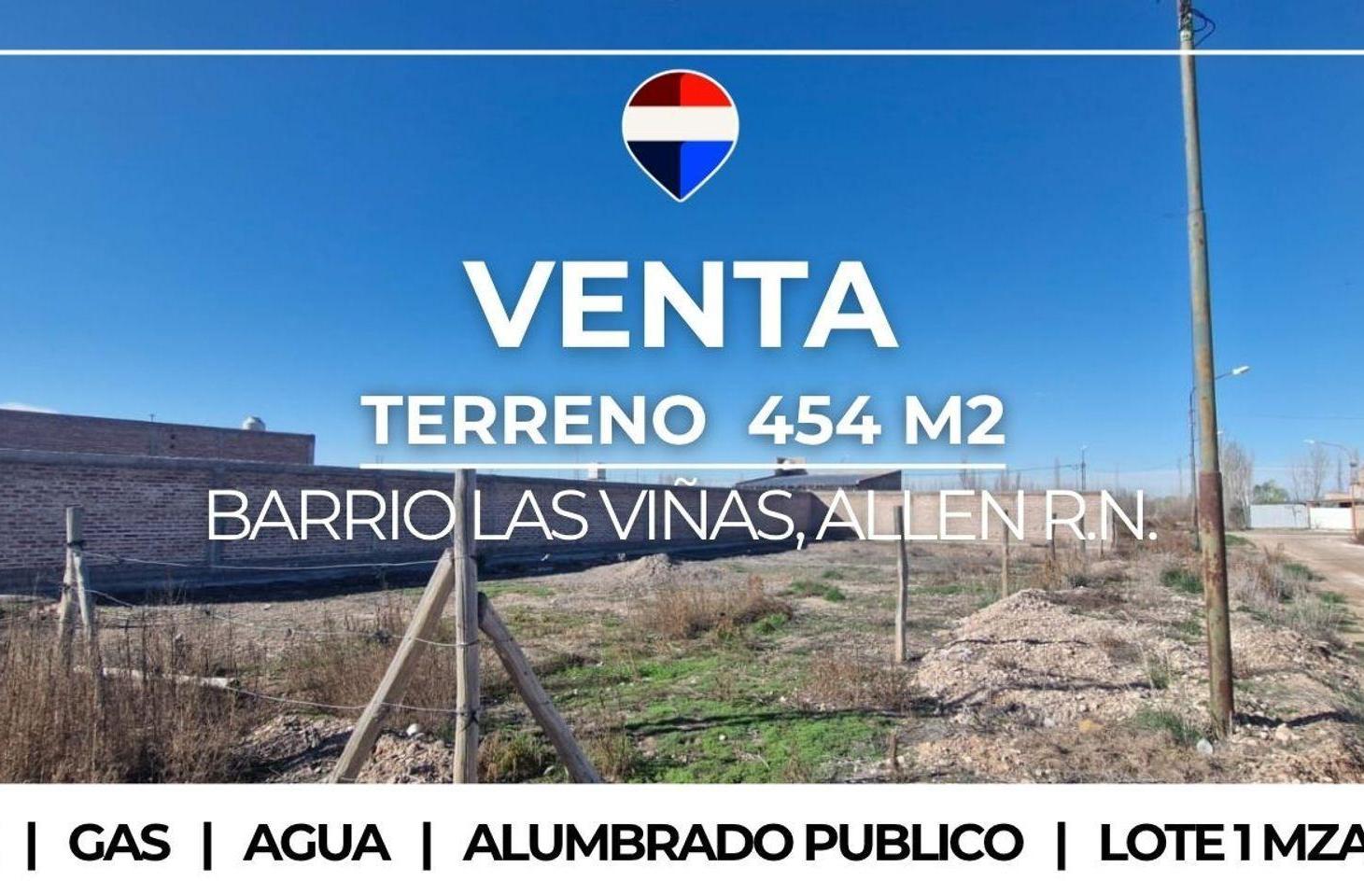 LOTE EN VENTA ALLEN