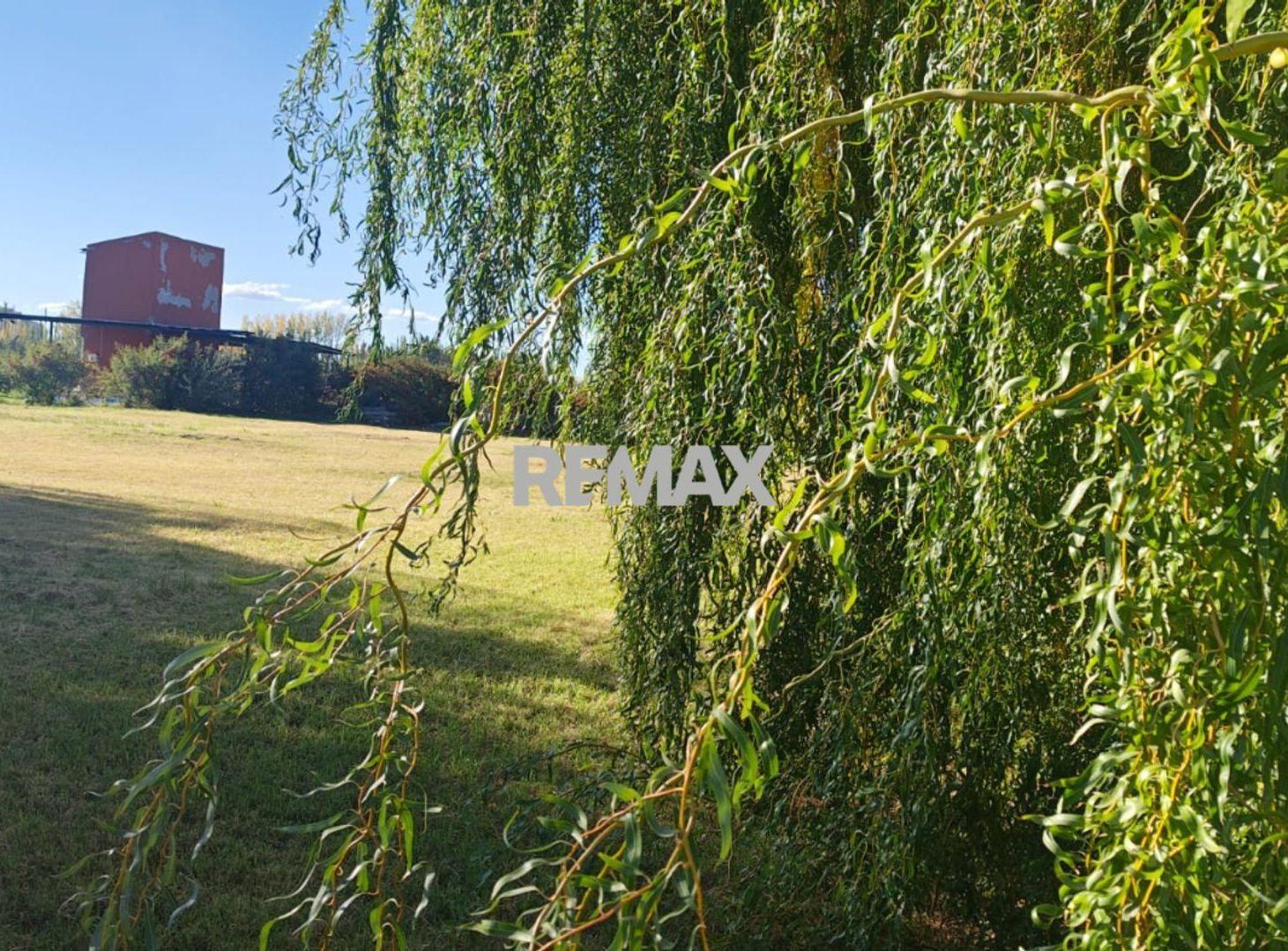 Foto de VENTA LOTE CINCO SALTOS, imagen 3
