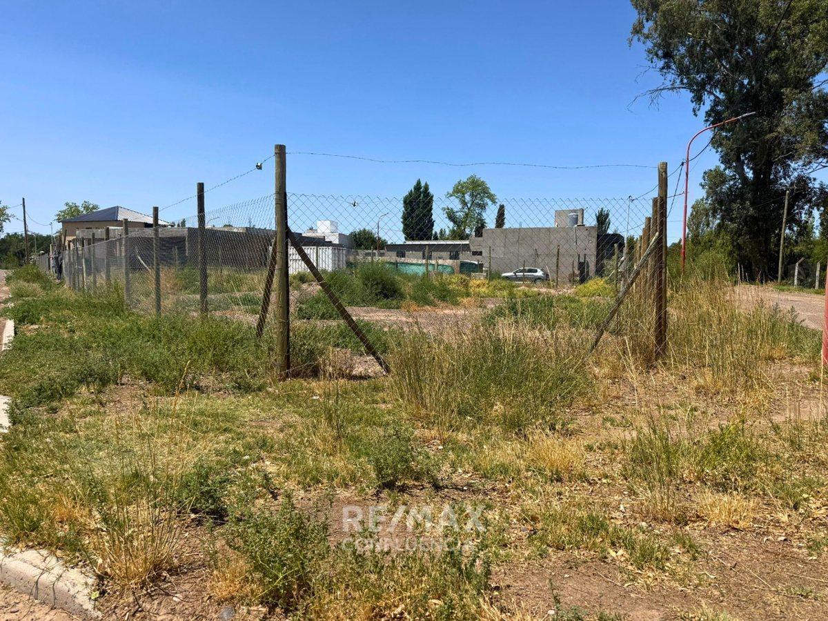 Foto de VENTA TERRENO Bº LOS TORDOS CIPOLLETTI, imagen 1
