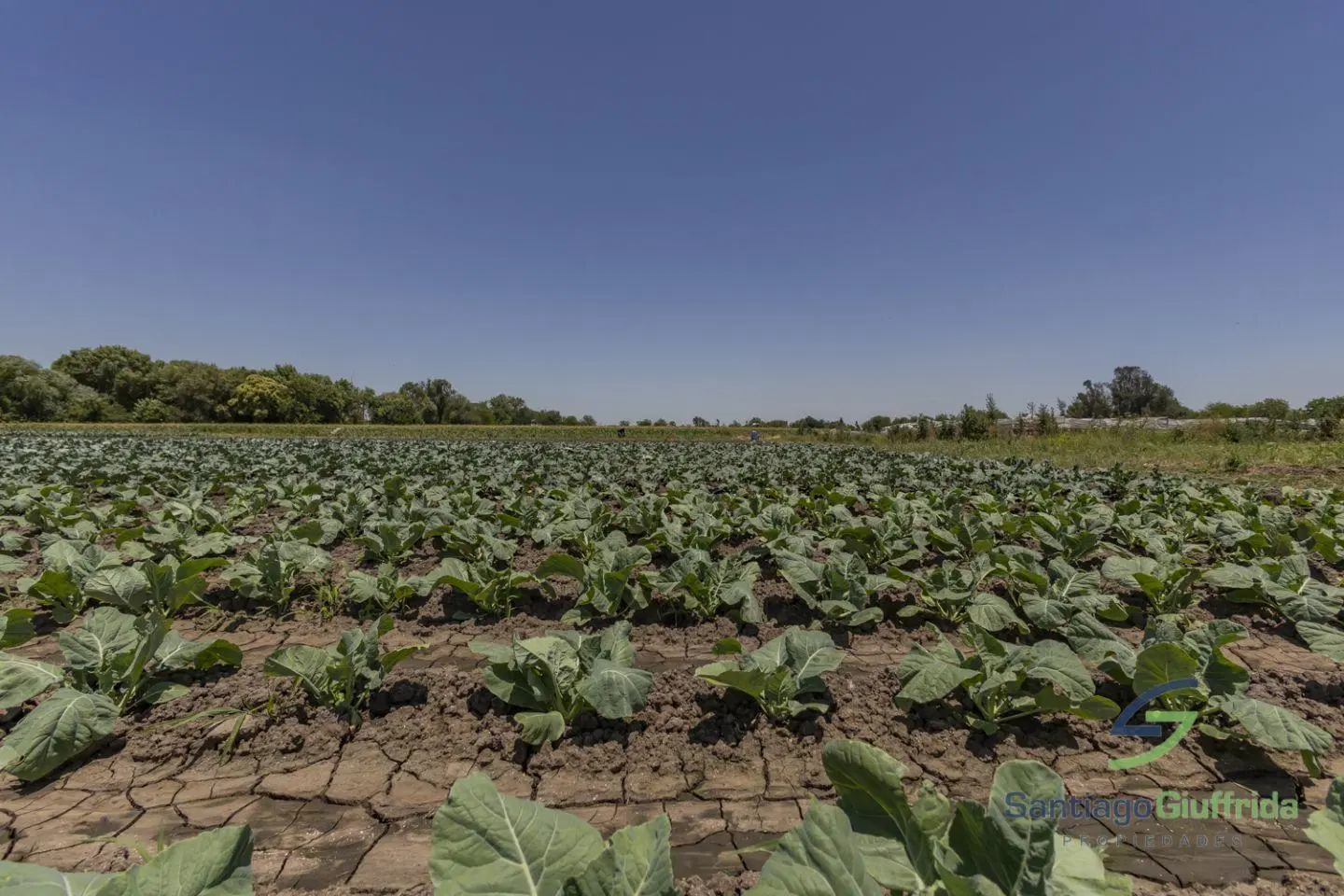 CHACRA 2.7 HAS - CON CASA DE 150m2 2
