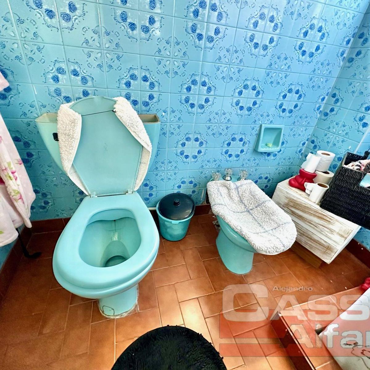 Casa Apto Dos Familias en PH Sobre Lote de 52 X 10, Cochera, Fondo Libre con Piscina 2