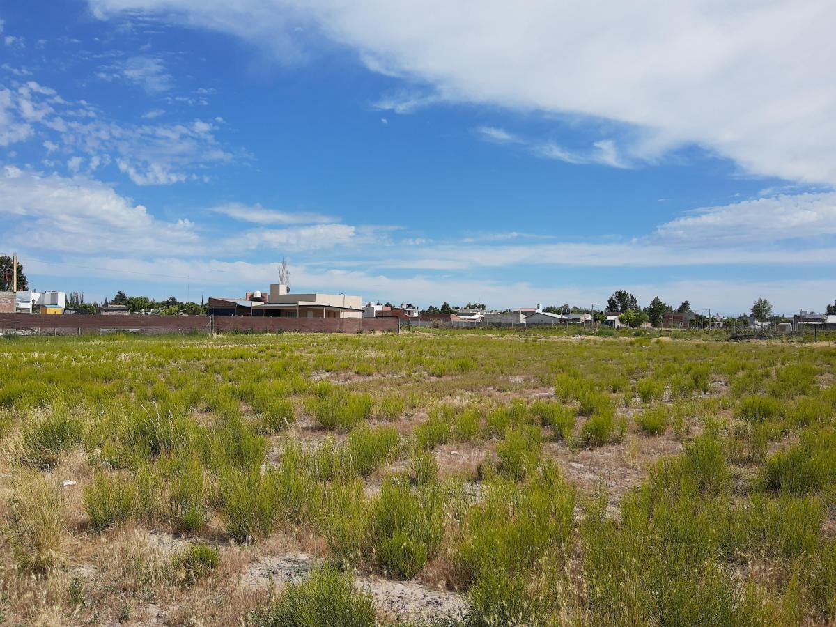 Vendo Terreno de 1000 m² en Barrio Los Troncos - Fernandez Oro 2