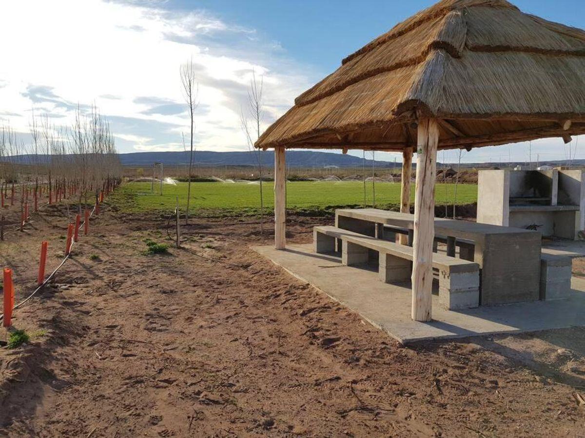 VENDO TERRENO EN CHOCON MEDIO SECTOR LAGUNA