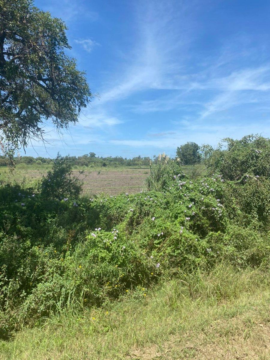 Venta de Terreno. Monte Vera 4