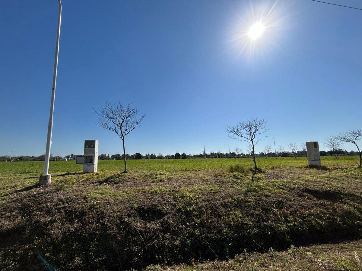 VENTA LOTE EL NACIENTE - Sobre calle Polter
