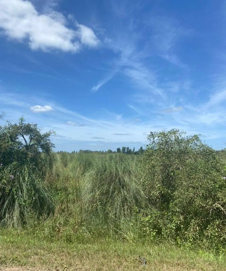 Venta de terreno. Monte Vera 4