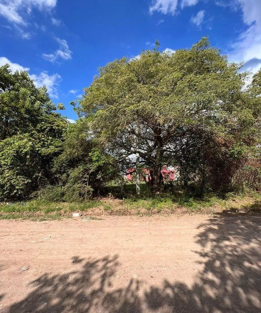 VENTA TERRENO RESIDENCIAL SOLARES DEL ESTE 2