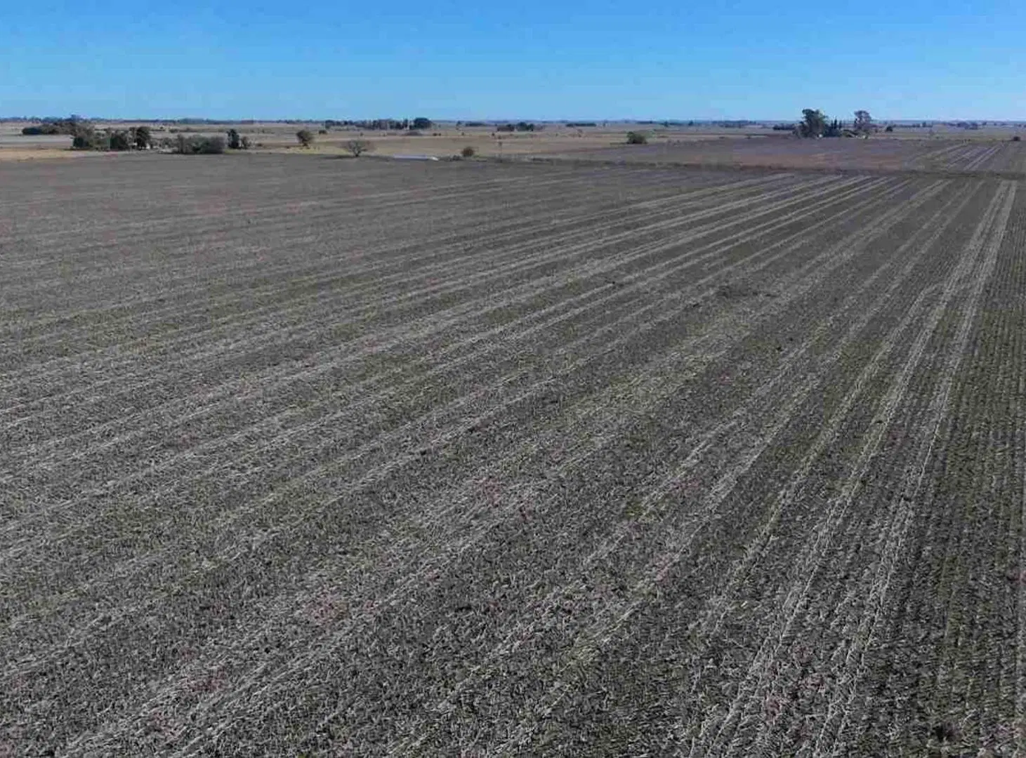 VENTA campo agrícola en Llambi Campbell 4