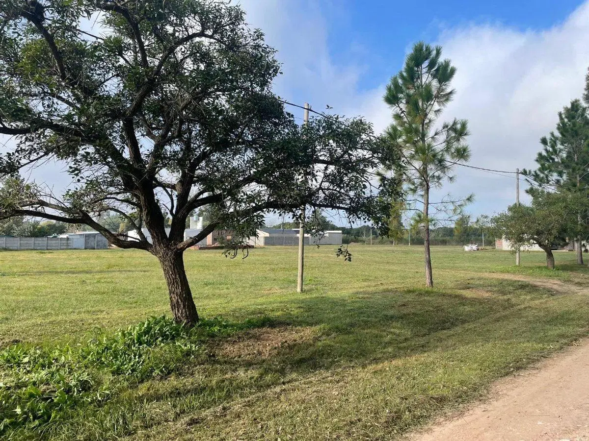 VENTA LOTE 338m2 - Loteo LA MERCED MONTE VERA 4