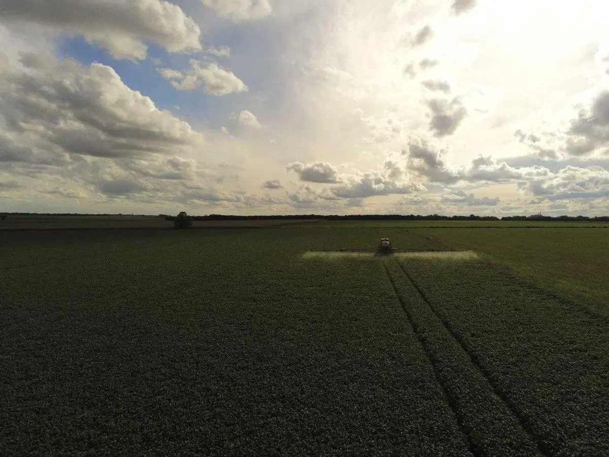 VENTA CAMPO DE 49,21 HAS. EN MARIA LUISA 5