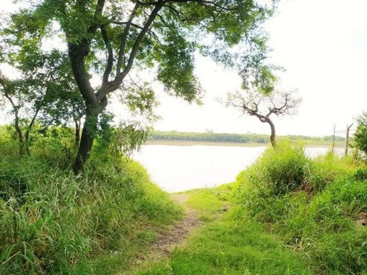 VENTA CAMPO, 400 has, Isla San Javier, Escriturabl 5