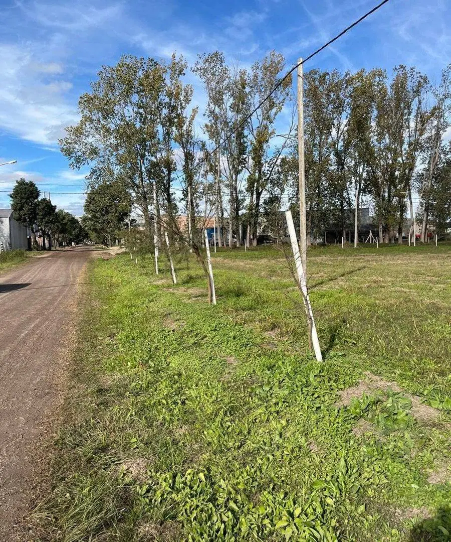 VENTA TERRENO ZONA SUR 3