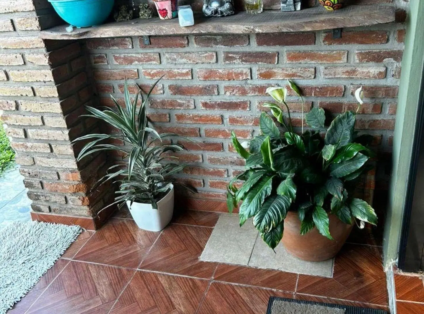 VENTA CASA QUINTA SAUCE VIEJO 4