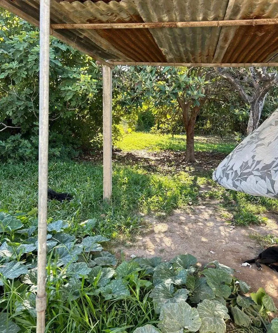 VENTA CASA 2 dormitorios en  San Carlos Sud.- 4