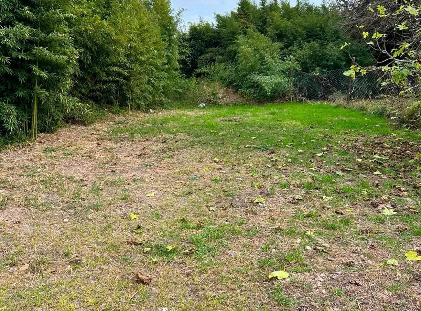 VENTA CASA EN SAN CARLOS SUD 5