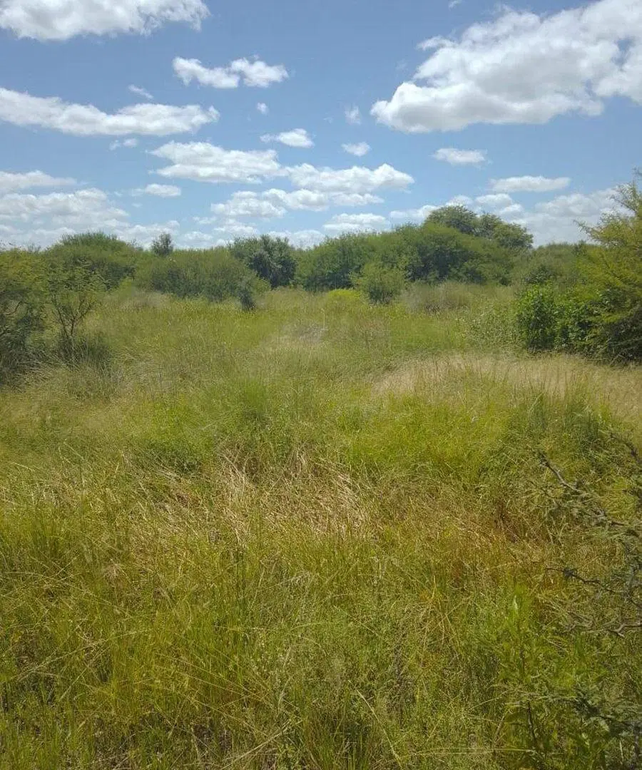 Venta 238 hectareas ganaderas. La Cabral 4