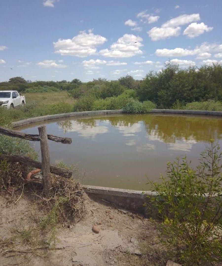 Venta 238 hectareas ganaderas. La Cabral