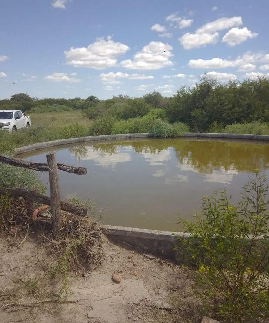 Venta 238 hectareas ganaderas. La Cabral 2