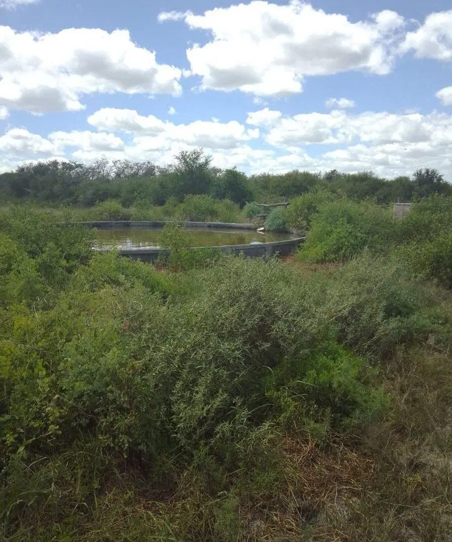 Venta 238 hectareas ganaderas. La Cabral 5