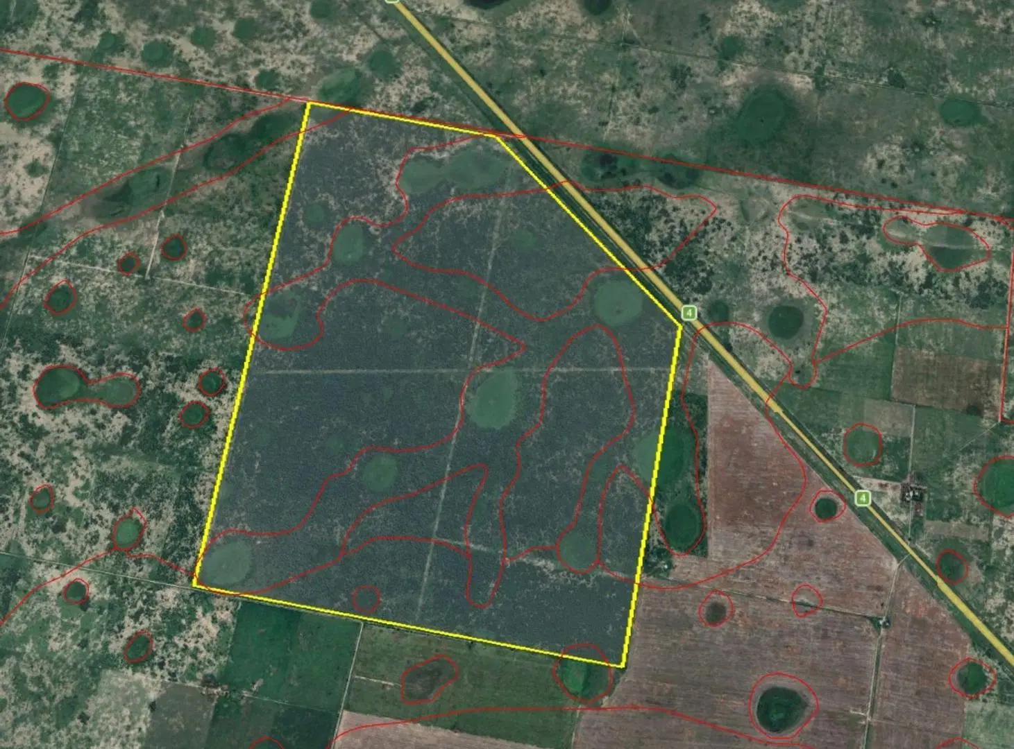 ALQUILER 700HA - CAMPO GANADERO EN ELISA 3