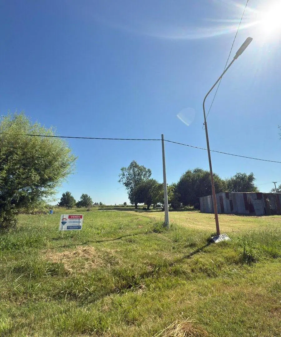 VENTA DE LOTE AL NORTE DE NUEVO TORINO 4