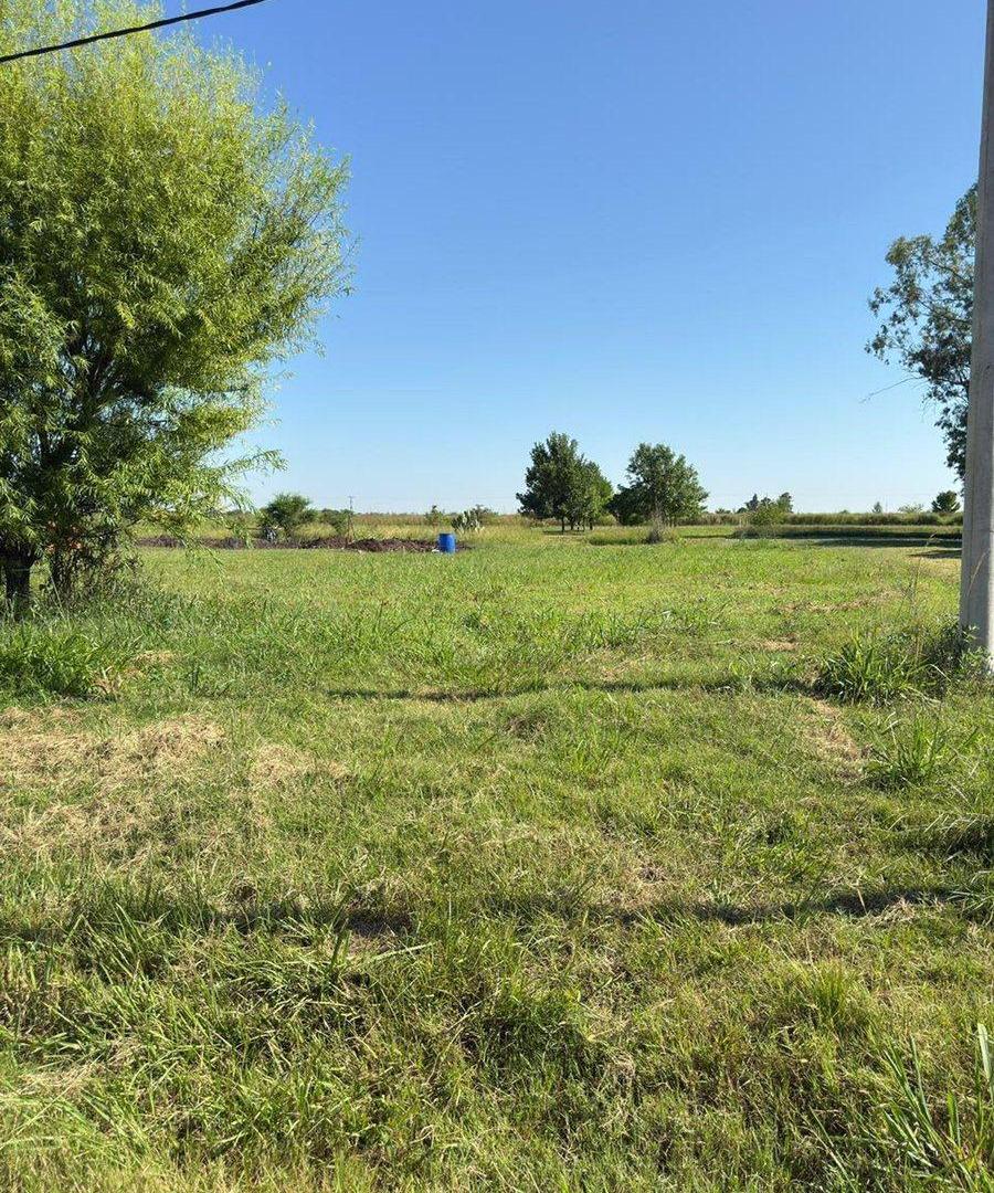 Foto de VENTA DE LOTE AL NORTE DE NUEVO TORINO, imagen 2